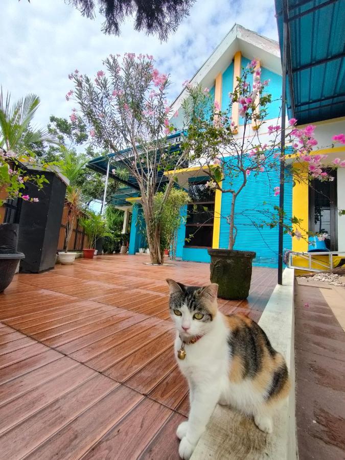 Omah Mendut Homestay Banyuwangi (East Java) Exterior photo